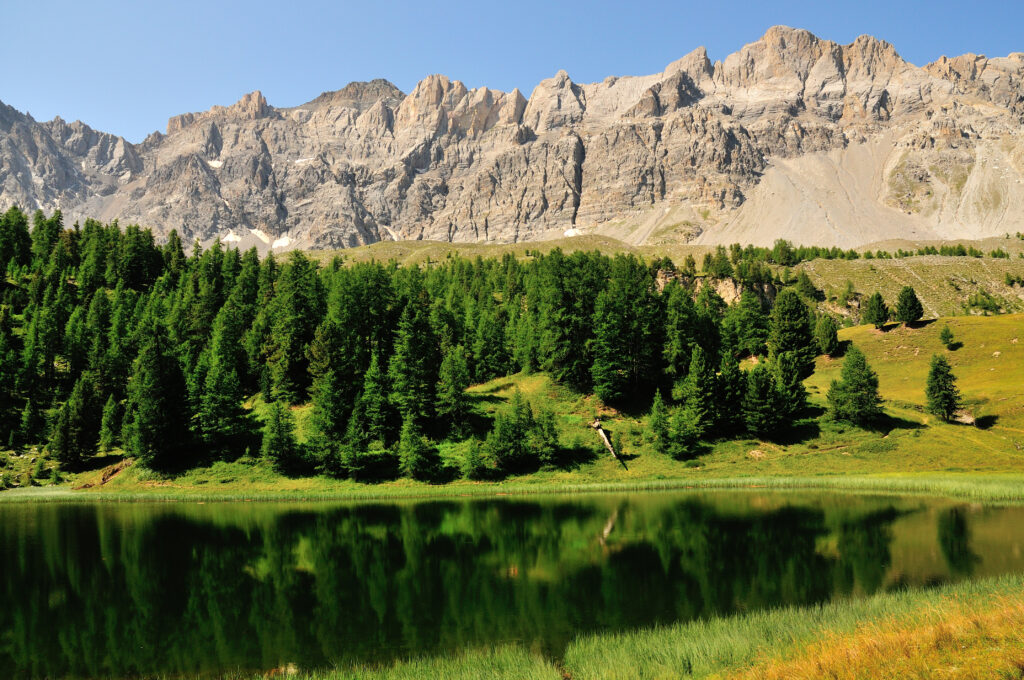 Lac miroir et forêt de pins au-dessus du village de Ceillac, Parc naturel régional du Queyras, Alpes du Sud