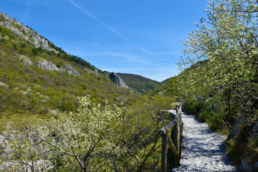 La réserve naturelle de Val Rosandra 