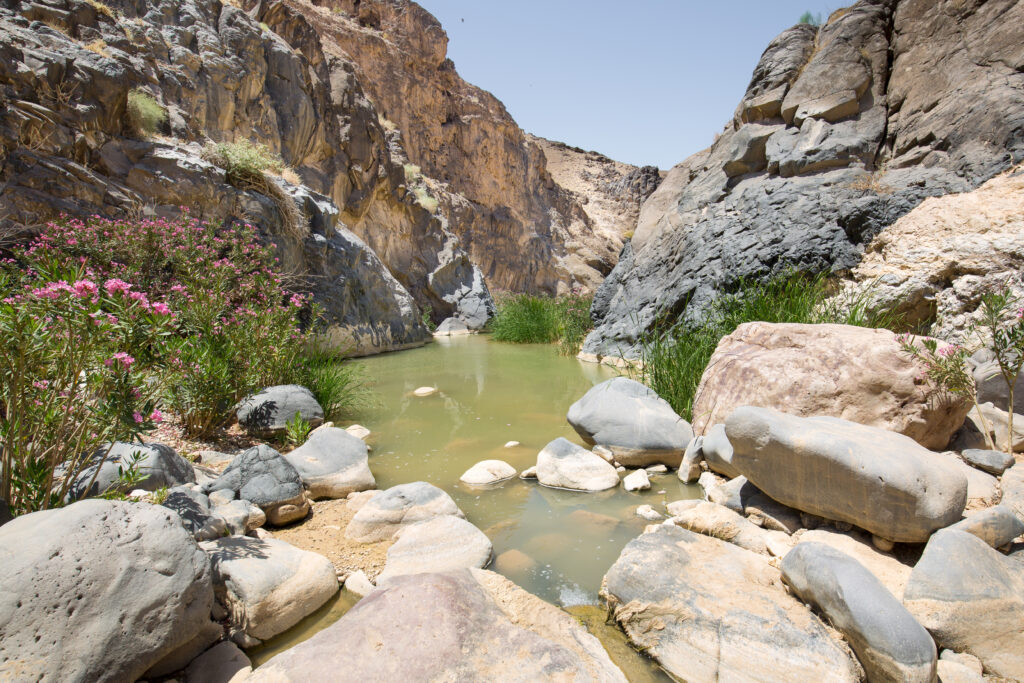 Wadi Hidan 