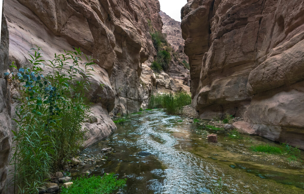 Wadi Ghuweir 