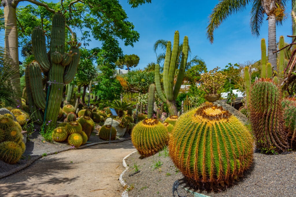 Les Giardini Ravino