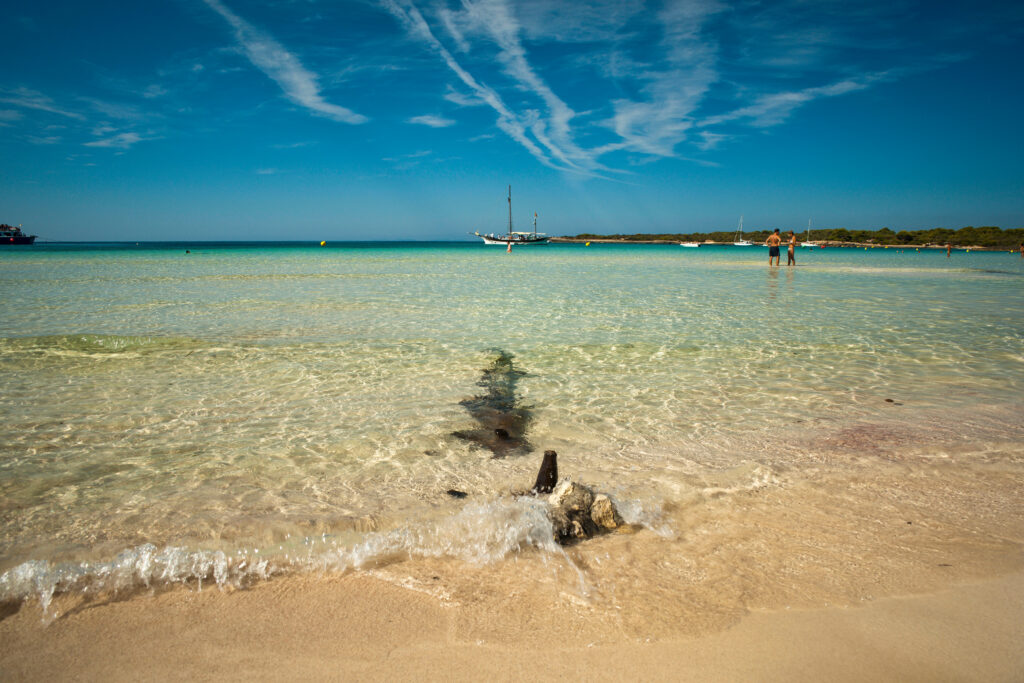 Playa de Son Saura