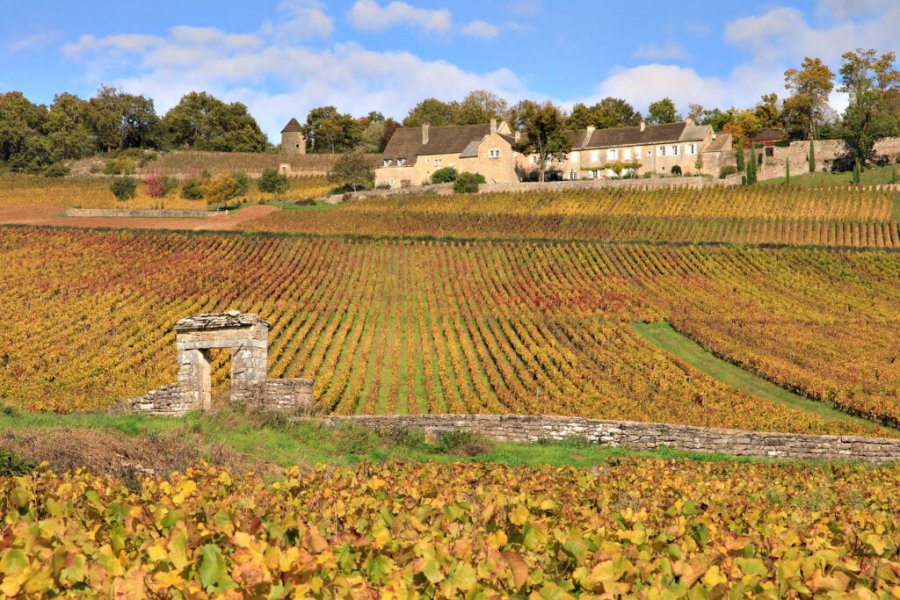 Top 11 des balades à vélo à faire en Saône et Loire