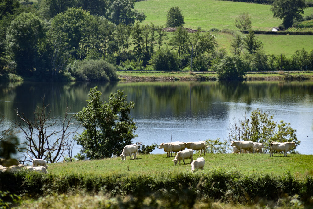 Petit lac de Pannecière dans le massif du Morvan