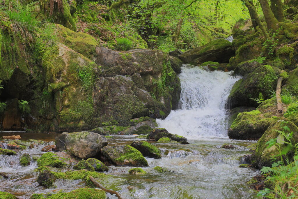 Les gorges de la Canche