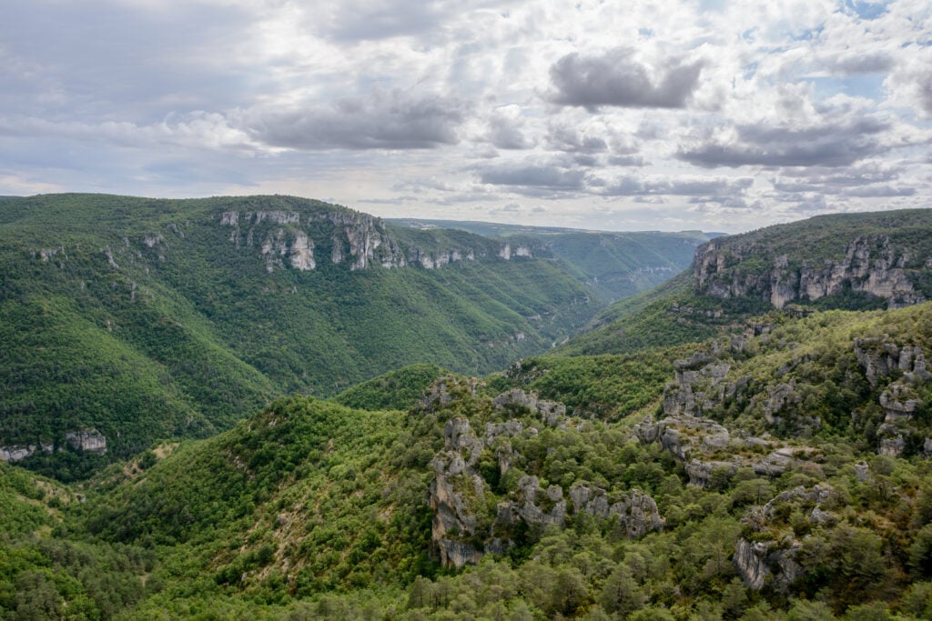 Gorges de la Dourbie