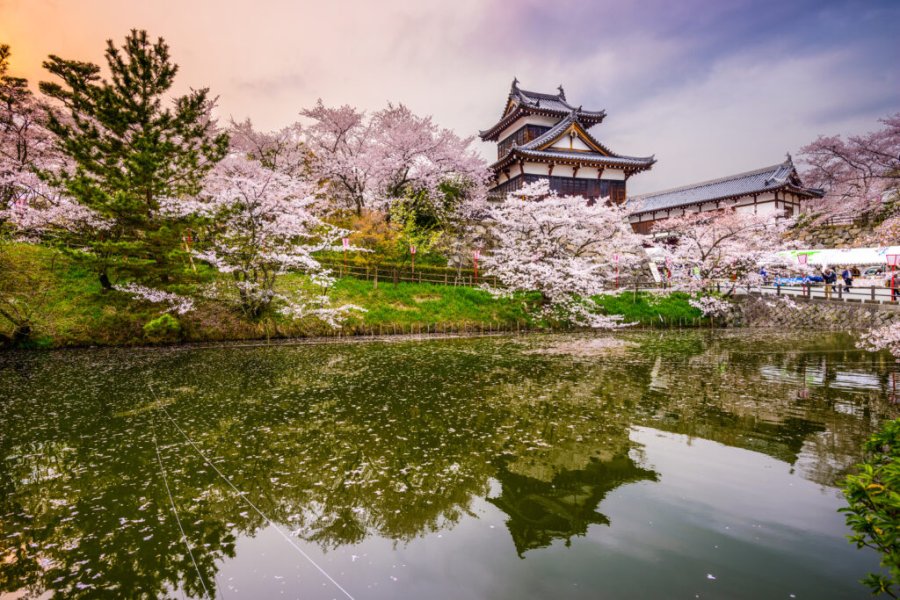 Was kann man in Nara in Japan besichtigen und unternehmen? Die 11 unumgänglichen