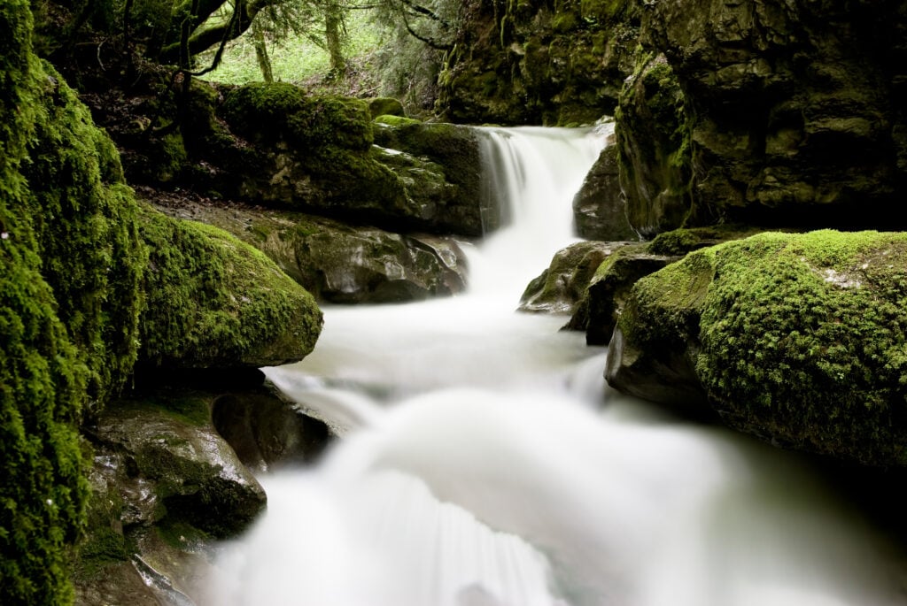 Rivière la Doria