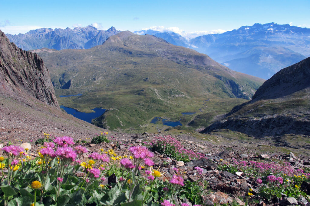 Vue sur Belledonne depuis les pentes du Taillefer 