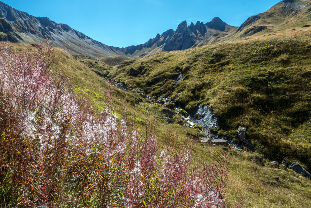 Paysage du Beaufortain en été