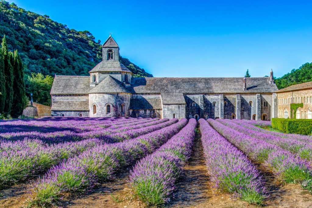 L'abbaye de Sénanque