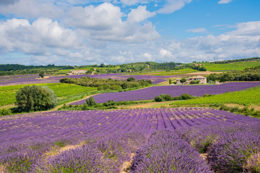 Road trip en Provence : conseils et itinéraire
