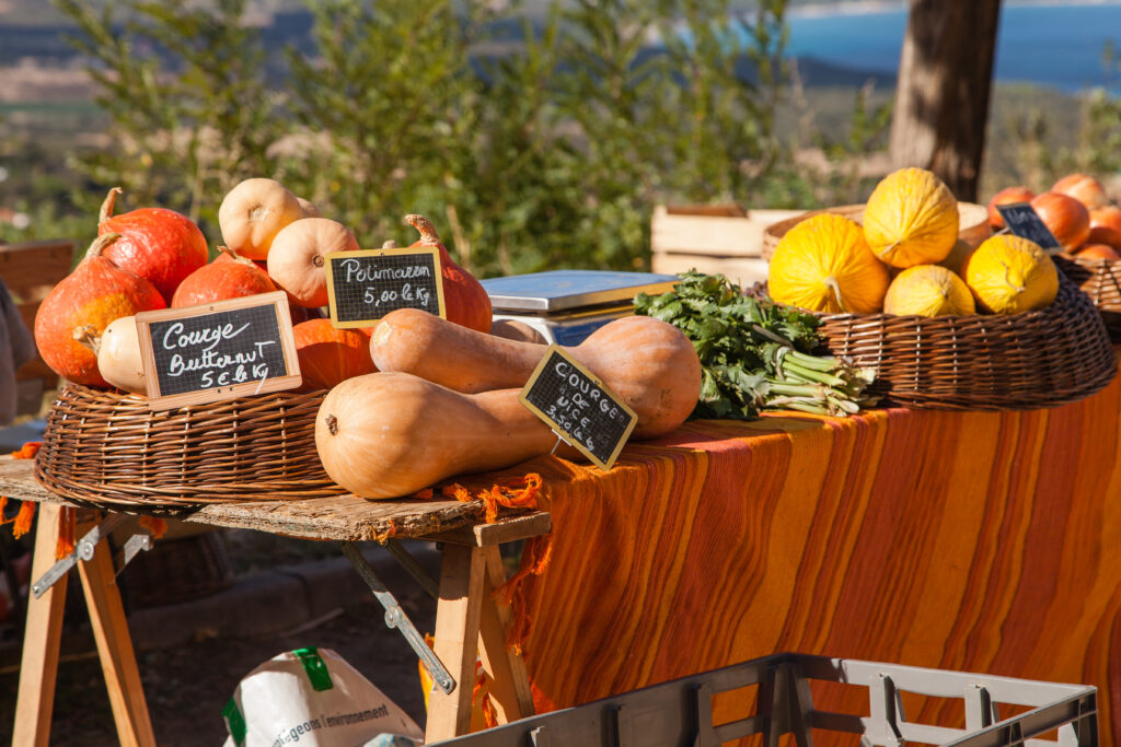 Que faire à Saint-Florent en Corse ? marché aux légumes bio-corse
