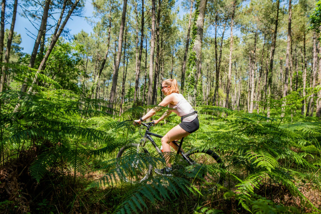 Randonnée en forêt  