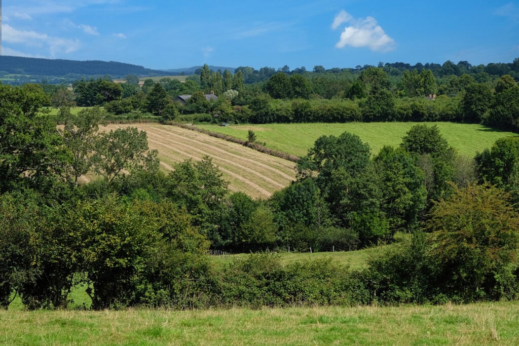 Paysage de bocage en Mayenne