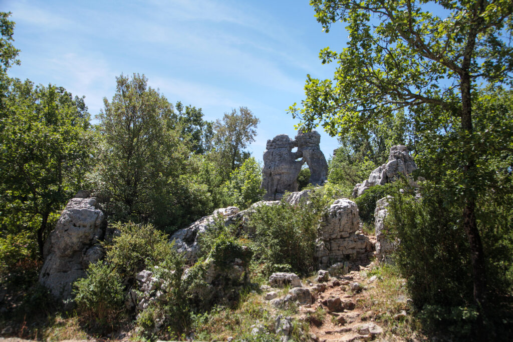 Bois de Païolive, Ardèche Cévennes