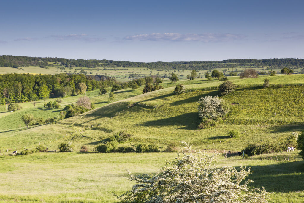 Réserve de biosphère UNESCO du Bliesgau