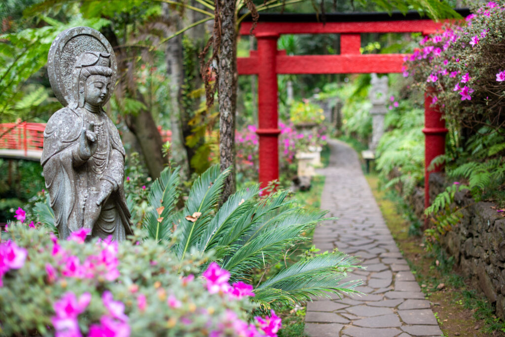 Jardin Tropical Funchal 