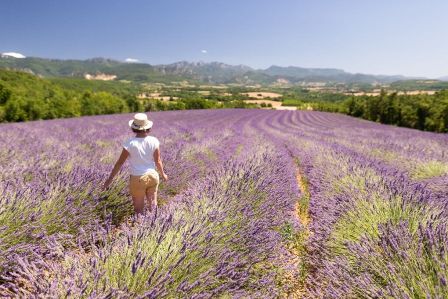 Que faire, que visiter à Valence Romans ? Les 10 incontournables en 2025