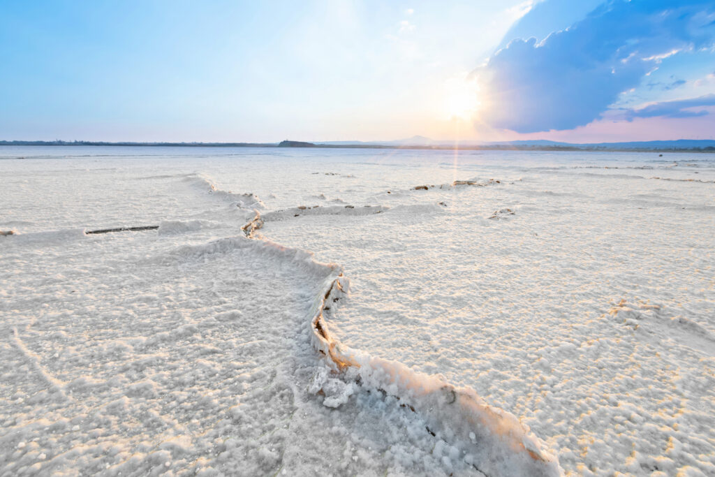 Lac salé de Larnaca 