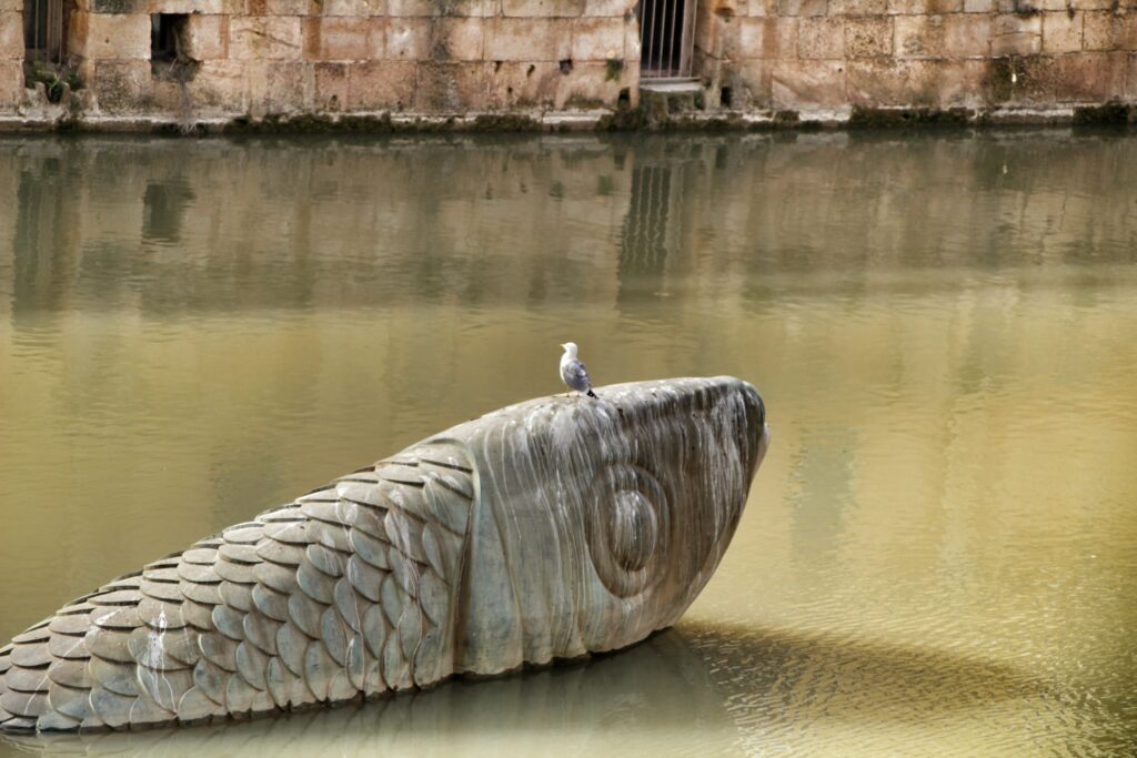 Monument à la Sardine 