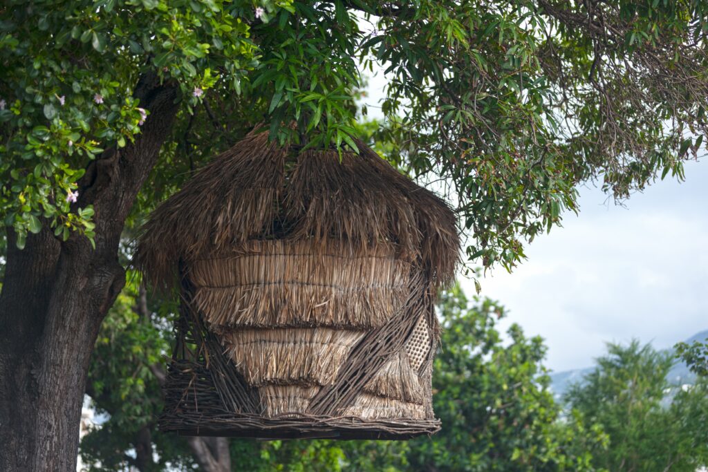 rivière Saint-Denis sur l'île de la Réunion