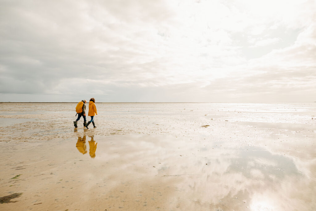 Vasières de la mer des Wadden