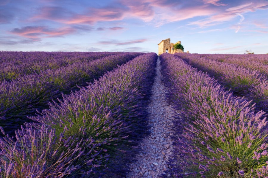 Que faire, que voir à Valensole ? Les 11 incontournables