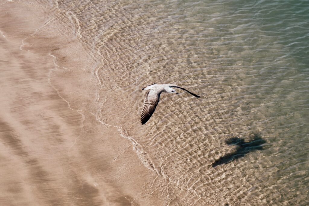 plage