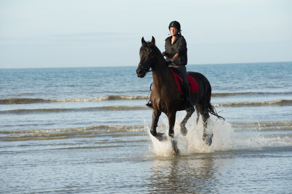 Balade à cheval sur la plage