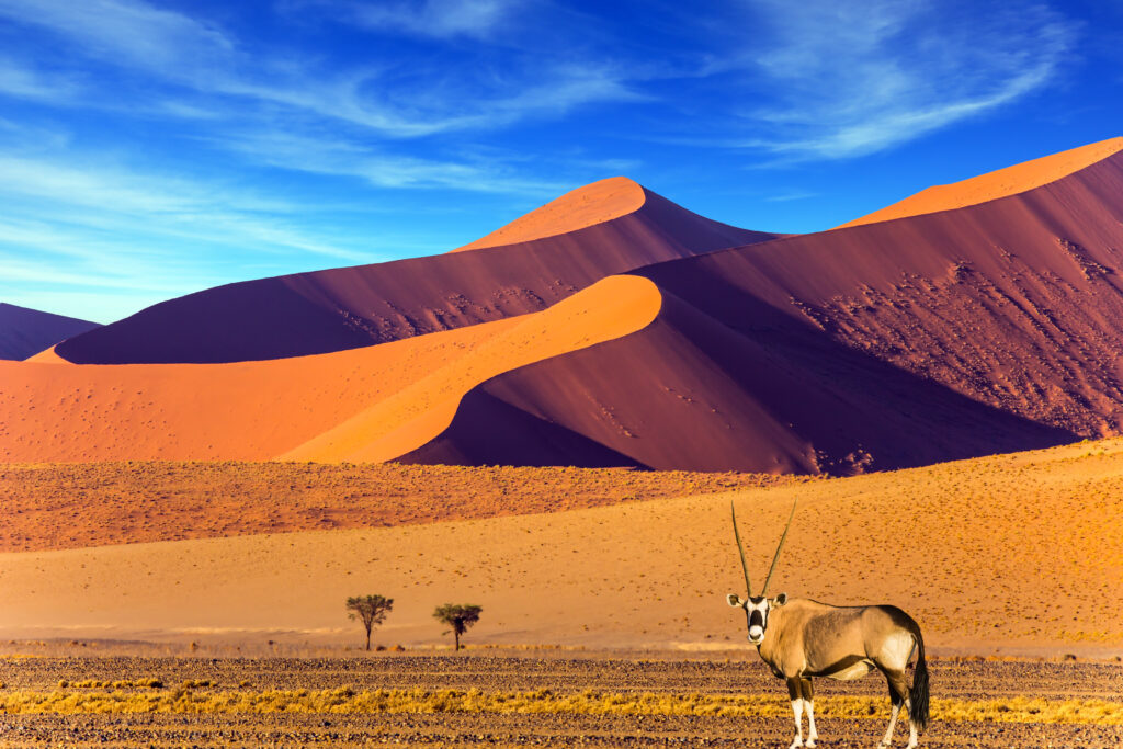 Désert du Namib