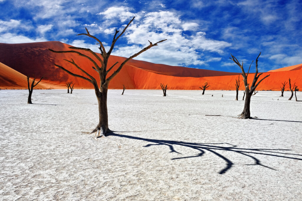 Désert du Namib 