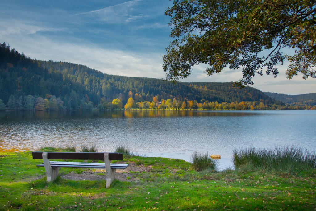 Lac de Longemer