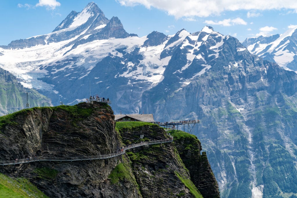 Vue sur le Grindelwald