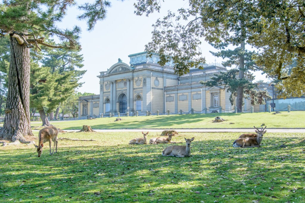 Musée national de Nara