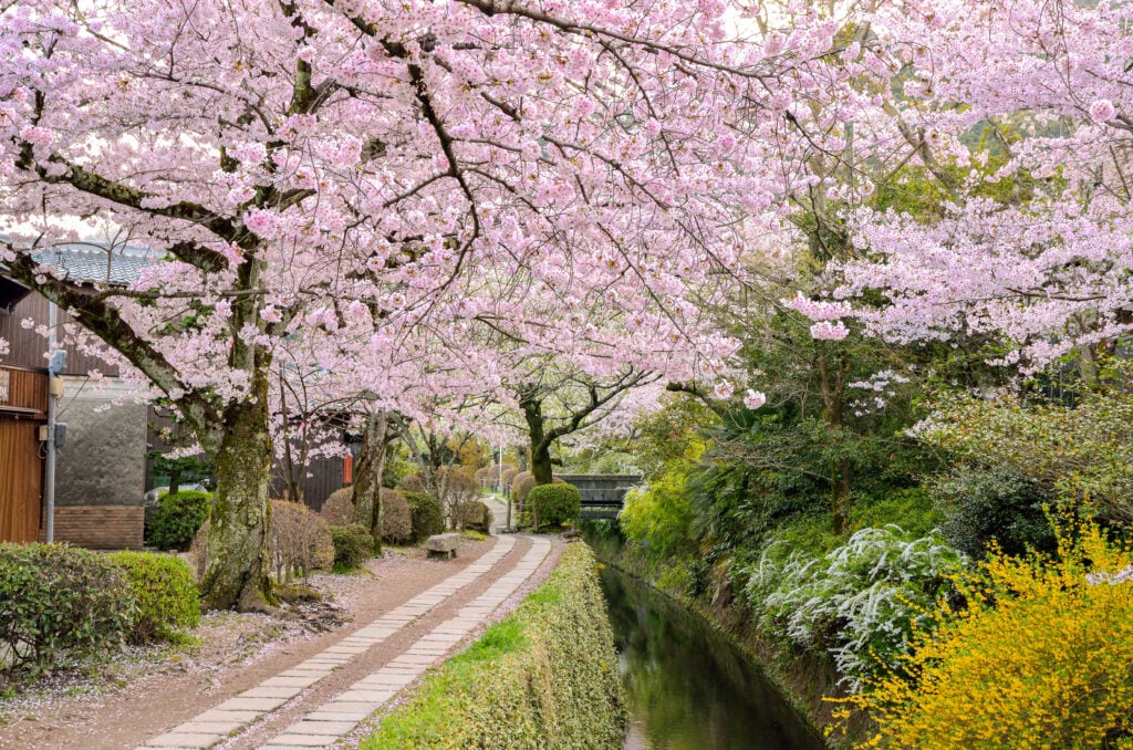 Le chemin de la Philosophie