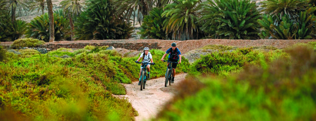 Un paradis pour le VTT.