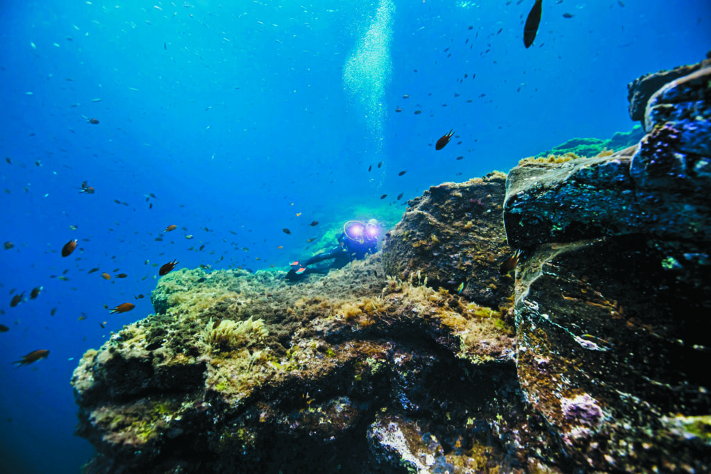 Les spectaculaires paysages sous-marins de Caleta de Fuste sont considérés parmi les plus beaux des îles Canaries (récif de Las Salinas).