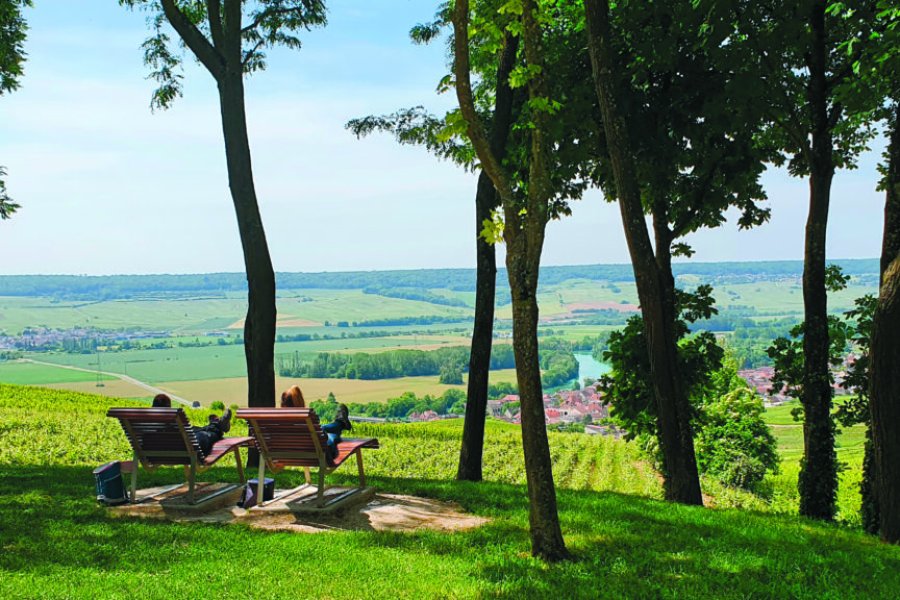 Escapade dans le vignoble, découvrez la Champagne autrement