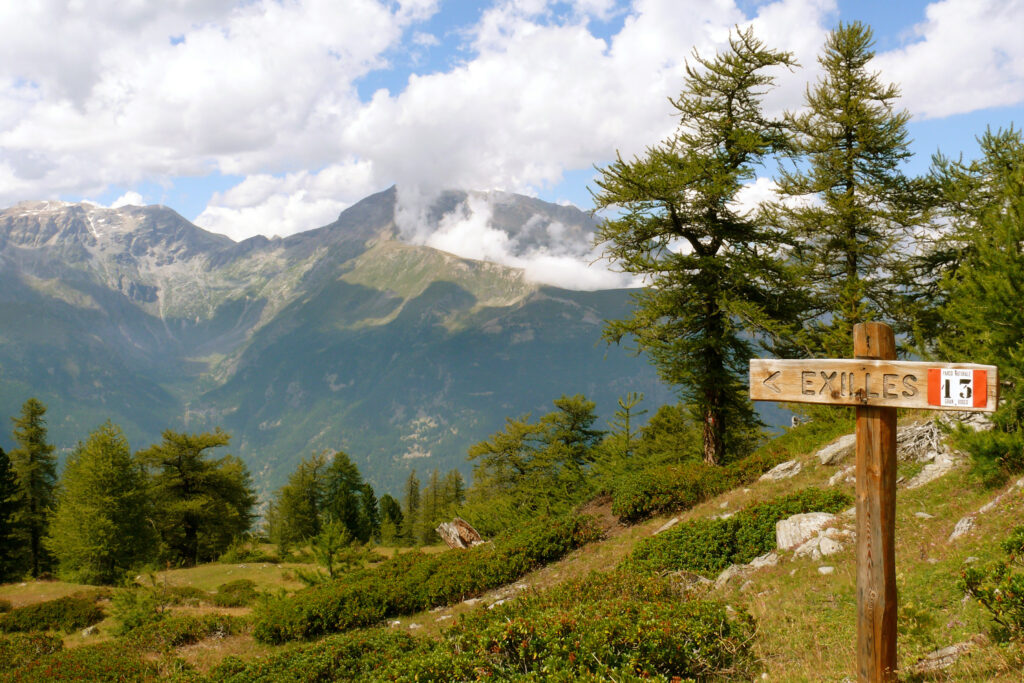 Exilles - Gran Bosco di Salbertrand