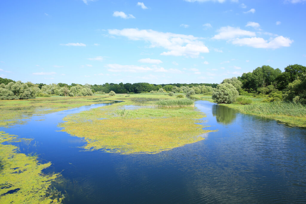 Le Parc naturel régional de la Forêt d’Orient