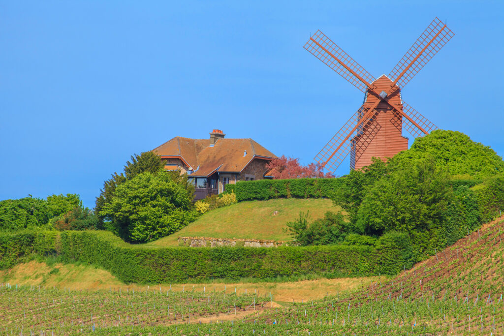 Le moulin de Verzenay