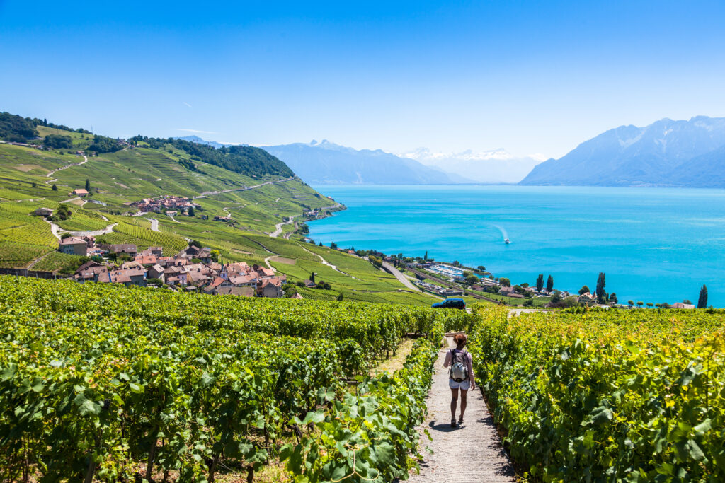 Les terrasses de Lavaux