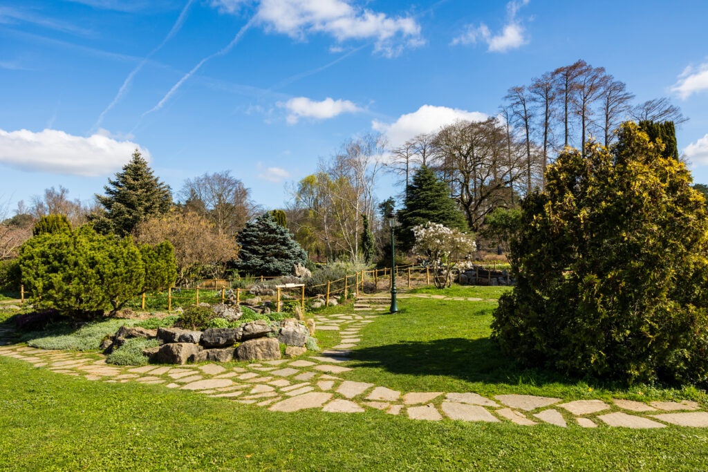 Roseraie du Parc de la Tête d’Or à Lyon