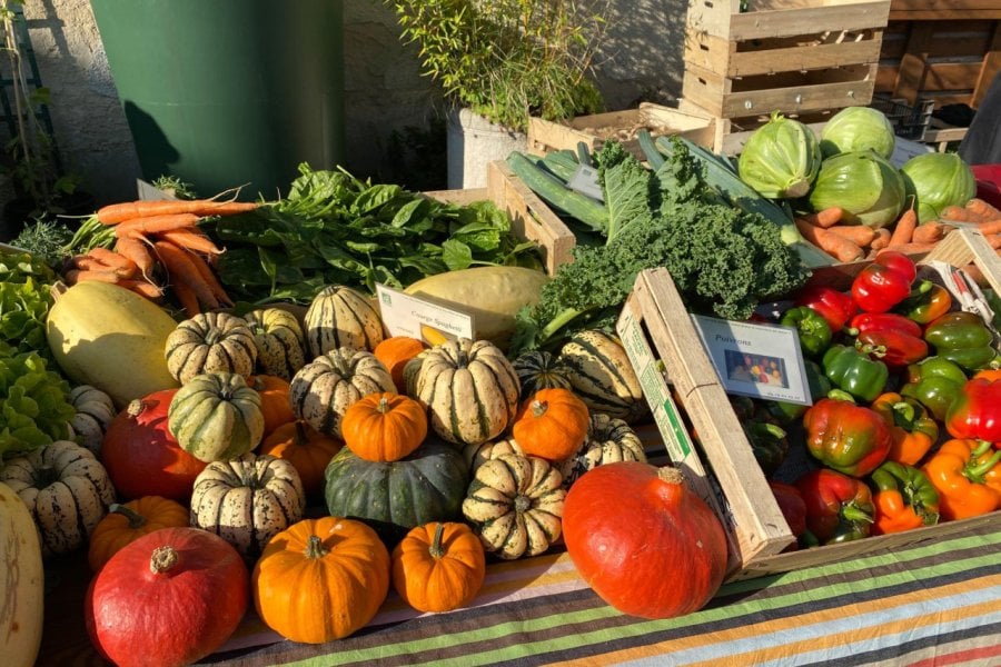 Fête des légumes anciens de Rocourt Saint Martin