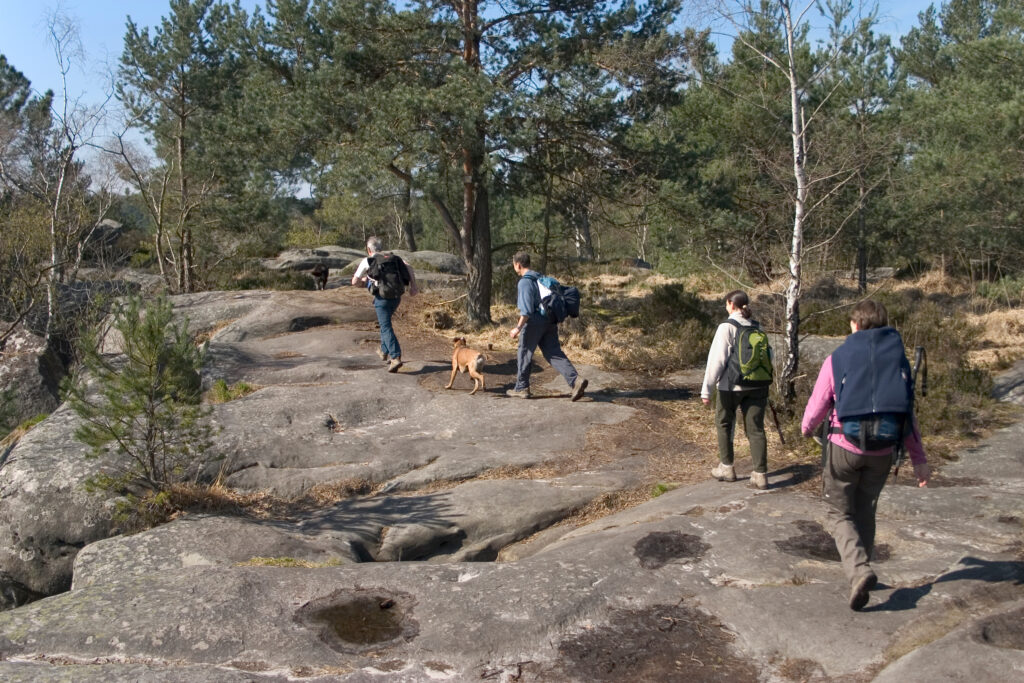 Randonneurs dans la forêt de Fontainebleau