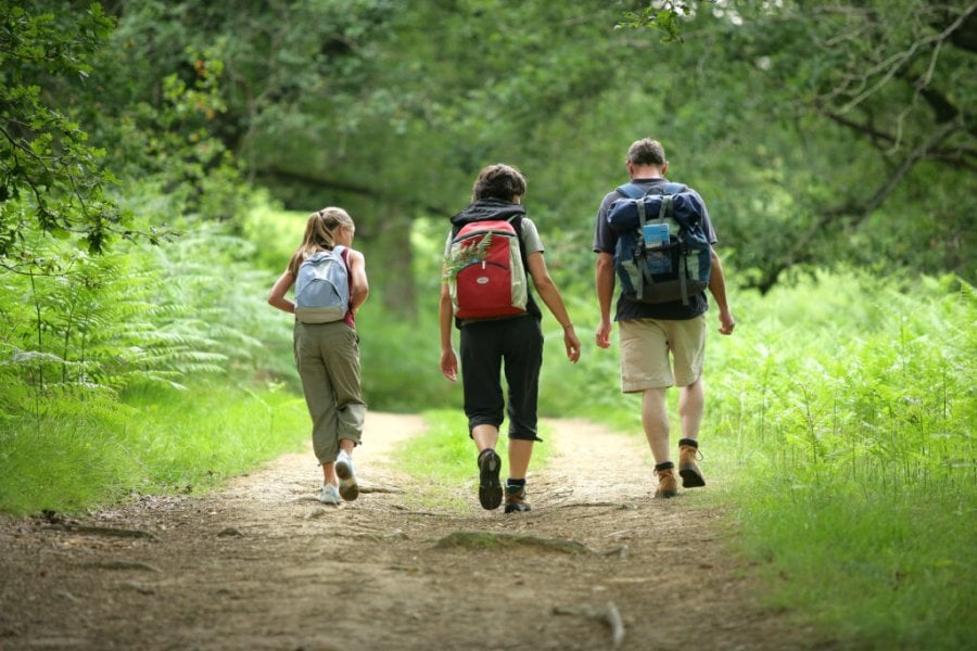 Top 11 der schönsten Wanderungen in Fontainebleau und Umgebung