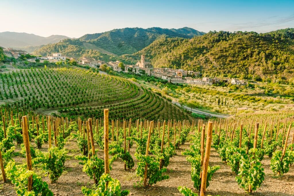 Vignobles du Priorat