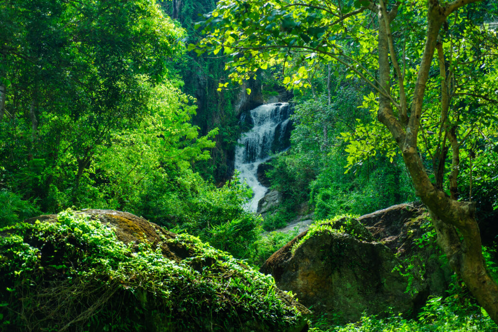 Cascade Mae Sa dans le Parc national de Doi Suthep