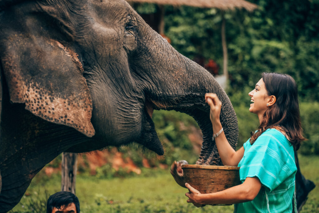 Femme avec un éléphant à la Patara Elephant Farm